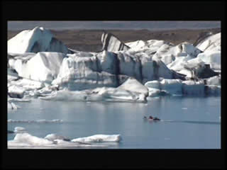  アイスランド:  
 
 Iceland, landscape